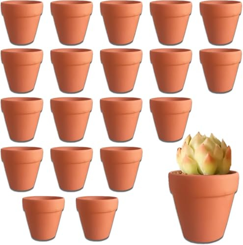 DYOUen Lot de 20 mini pots en terre cuite, 3 x 2,9 cm, en céramique, pour l'intérieur et l'extérieur, cactus, plantes succulentes, maison