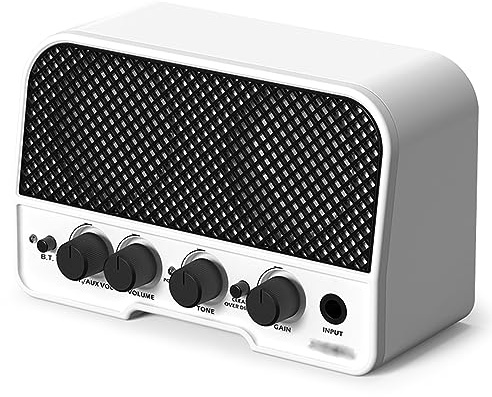 ZHCHAO Mini amplificatore acustico portatile Amplificatore for chitarra acustica da 5 Watt Doppi canali normali/luminosi(C)