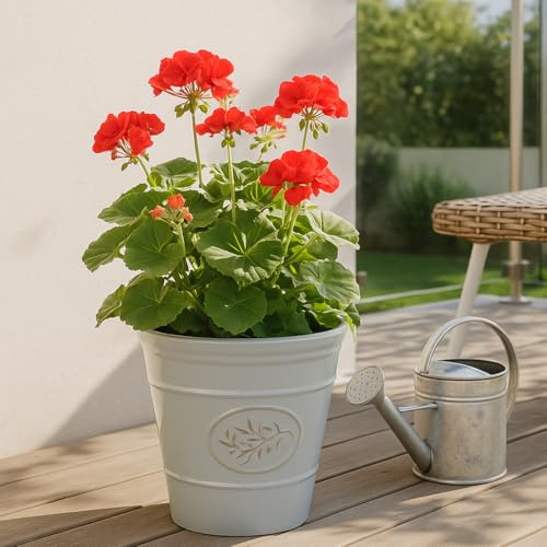 Outdoor Classic Olive Planter | Ceramic Look Round Plastic Flower Pot With Glossy Finish | Frost & UV Resistant Traditional Garden Plant Pot| Dia: 40cm, 50cm & Square | Grey (1, 40cm Round)