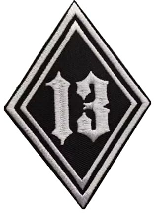 Aufnäher, bestickt, zum Aufbügeln, für Motorradwesten, Motorradkleidung, Pilot Motorcycle, Jacken (Nummer 13)