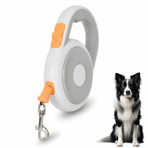 Guinzaglio per Cani Allungabile,Retrattile,5 Metri,Guinzaglio Flessibile per Addestramento e Passeggiate,per Cani Piccoli,Medi e Grandi (5 Metri,Gray)