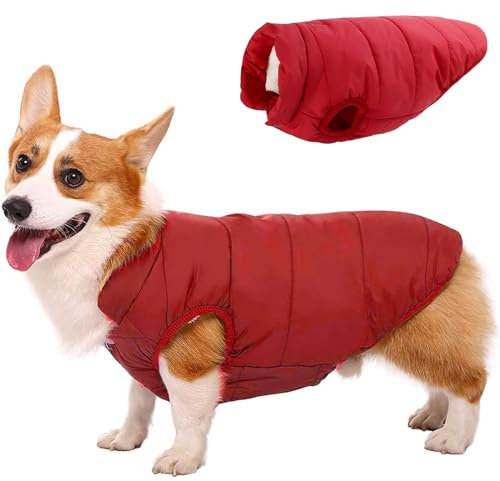 RUYICZB Hund Wintermantel Warme Jacke Hundebekleidung Hund Wasserdicht Hundejacke Mit Fleece Gefütterte Hund Katze Kleidung Welpen Winterweste Für Kleine Mittel Grosse Hunde,Rot,M