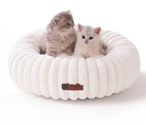 MEWOOFUN katzenbett 50x50cm für Katzen geeignet Flauschig -Waschbares Angstlösendes Beruhigendes katzenbett Nicht für Hunde mit Rutschfester Unterseite, weiß