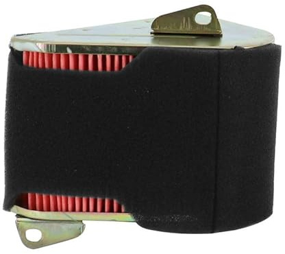 cyclingcolors Filtro de aire para motocicleta, ciclomotor y scooter compatible con baotian gy6 kymco heroism sym 125 fiddle