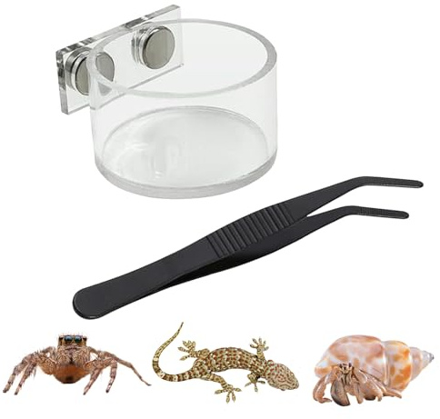 Zubehör für Spinnen und Spinnen | Futter- und Wasserspender für Terrarien - mit Futterzange und Zubehör für Terrarien - für Mantis Einsiedler Schlange Reptilien Te