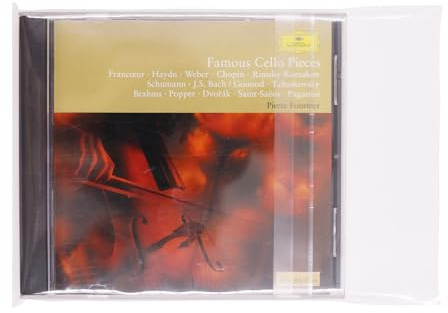 Custodie adesive esterne per CD e DVD, antistatiche, per riporre CD e DVD (100)
