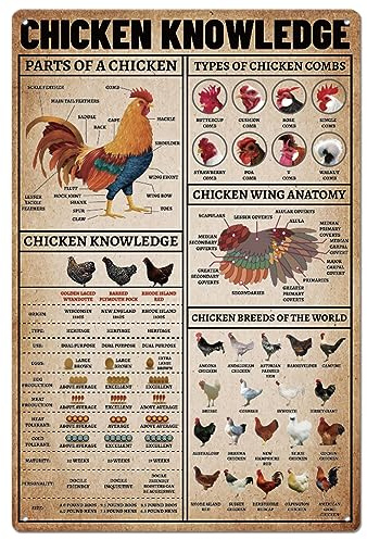 Posteration Chicken Knowledges Painting Old Retro Metal Tin Sign Decor Metal Sign For Living Garden Farmhouse 20X30Cm