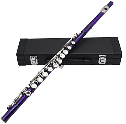 flöte Schülerflöte Schließen Sie 16 Löcher Mit Offset G, Split E Und H Fuß (Color : Purple)