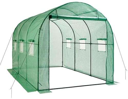 Escala Gewächshaus Treibhaus Glashaus Frühbeet (200 x 300 x 200 cm) Grün