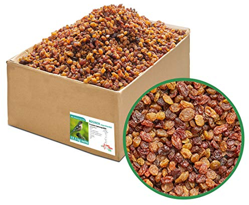 Paul´s Mühle Rosinen, ungeschwefelt in Speisequalität, Wildvogelfutter für Insekten- und Früchtefresser, 12,5 kg
