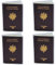 Porta Pasaporte Transparente | Estuche de Protección Práctico para Pasaportes | Funda para Pasaporte de Viaje- Ideal para Hombres y Mujeres Viajeros Fabrication Francesa X4