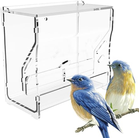 Dispenser di cibo per quaglie, dispenser per cibo per uccelli, dispenser di cibo per quaglie, senza sprechi, per quaglie, pollo, tazza per cibo, distributore d'acqua, distributore di acqua per uccelli