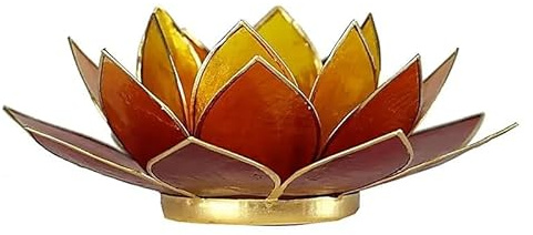 Lotus Licht 3-farbig Goldränder - 13.5 cm