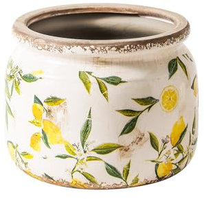 IOEDHW Macetas de cerámica Vintage, Maceta de cerámica de Gran Calibre, macetas con Orificio de Drenaje, maceteros rústicos de 7 Pulgadas para jardín Interior - Macetas de Interior