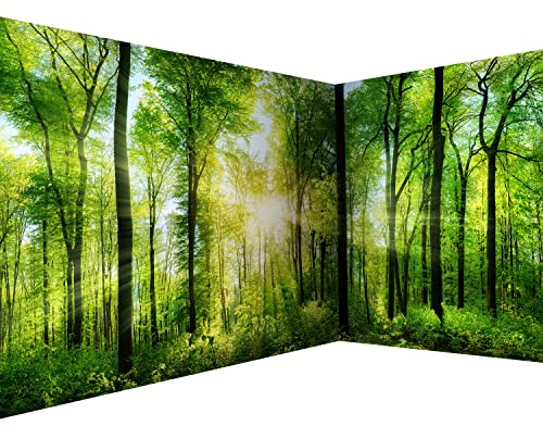 murando Photo Wallpaper Forest 539x250 cm / 212 x 98, Peel and Stick | Self-Adhesive Corner Foil Print Wall Mural Wallpaper, Landscape Nature Green Tree Panorama Sunlight