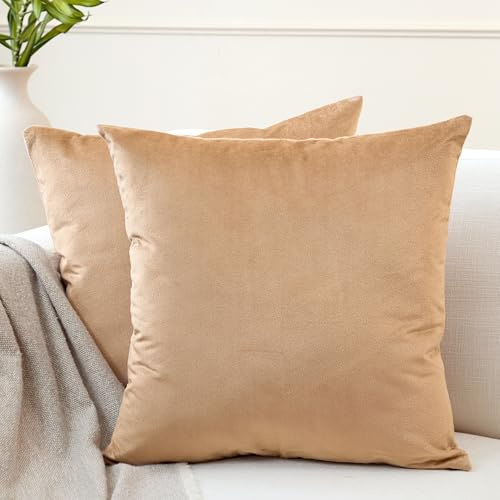 Encasa XO Sammet prydnadskudde överdrag 50 x 50 cm (20 x 20 tum) – guld – inga insatser, förpackning med 2 fodral | solitt enfärgade mjuka och släta, fyrkantiga dekorativa kuddöverdrag för vardagsrum