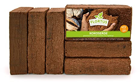 FLORTUS Kokos Anzuchterde 60L | Kokoserde gepresst, ungedüngt & torffrei | Kokosziegel als praktische Quellerde | Kokos Blumenerde für Zimmerpflanzen, Balkonpflanzen & Gemüse