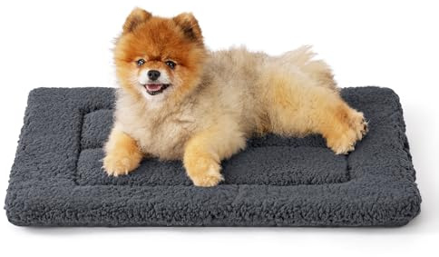 BEDSURE waschbar Hundematte Kleine Hunde, 58x43cm, dunkelgrau | hundedecke mit hochdichter Schaumstofffüllung, Sherpa-Plüsch Hundekissen für Hunde und Katzen