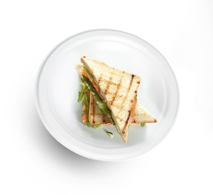 Générique 500 Assiettes Rondes en Fibre de Canne (Bagasse) Vaisselle Jetable Écologique, Biodégradable et Compostable - Résistant et Micro-ondable (22 cm plate)