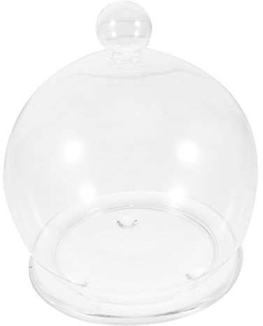 Cabilock Cake Protection Cover Glass Dome for Preserved Flower Display Small Glass Base for Sweet Treats and Diy Showcases
