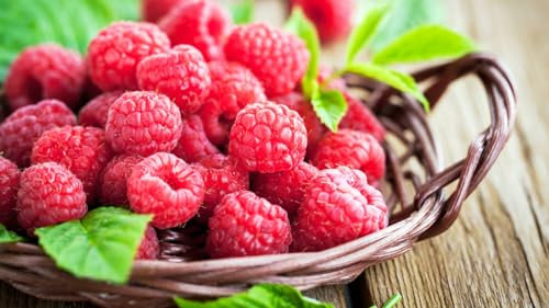 Lote de Dos Plantas de Frambuesa Roja Sin Maceta, Lista para Plantar.