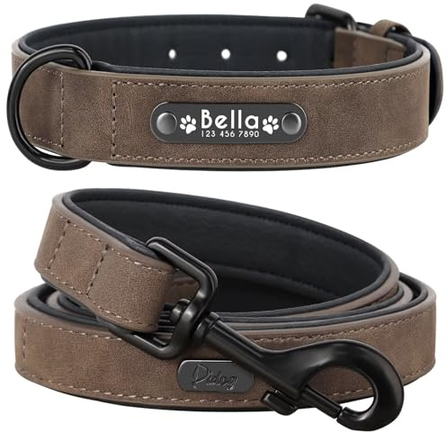 Didog Hundehalsband, weiches, gepolstertes, Leder, mit personalisierbarem, graviertem Namensschild, D-Ring. Für kleine und mittelgroße Hunde geeignet.