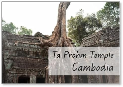 Ta Prohm Tomb Raider Temple in Angkor Complex Cambodia, Design 3, Fridge Magnet