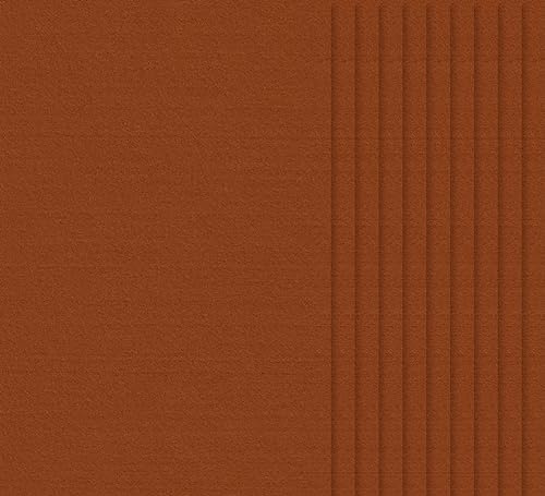 VBS 10er-Pack Bastelfilz 30x20cm 1,5mm Stark Qualität Robust Weich Filz zum Basteln DIY Filzblätter Filzplatte Filzbögen Filzstoff Vliesstoff Hellbraun
