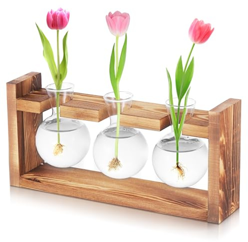 Fentar Ableger Pflanzen Glas, Propagation Station mit Vintage Holzsockel, 3Stk Kleine Vasen für Tischdeko Wohnkultur, Hydroponische Vase, Schön Vermehrungsstation Pflanzen für Hydrokultur Tischdeko