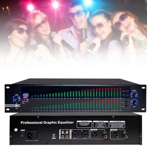 Stereo-Audiomixer, grafischer Equalizer, 31-Band-Balanced-Effekt-Controller, digitaler DJ-Mixer-Prozessor, DSP-Feedback-Eliminator, bühnenoptimierte Live-Produktion (Farbe: EQ-888S)