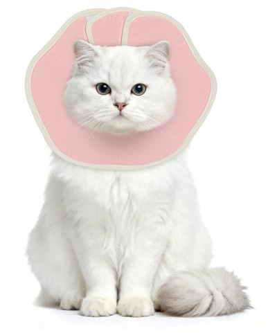 Supet avtagbart halsband för katt (rosa, M)