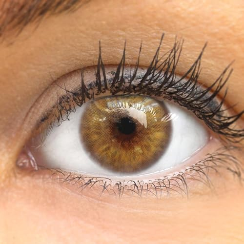 GLAMLENS lentillas de colores marrones Ronda Hazel + contenedor. 1 par (2 piezas) - 90 Días - Sin Graduación - 0.00 dioptrías - blandos - Lentes de contacto marrón de hidrogel de silicona
