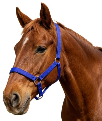 Generisch -Halfter Verstellbares Weide- und Show-Zubehör | Strickhalfter zum Einsatz auf dem Bauernhof und für verschiedene landwirtschaftliche Nutztiere wie Kühe, Ziegen, Schafe,