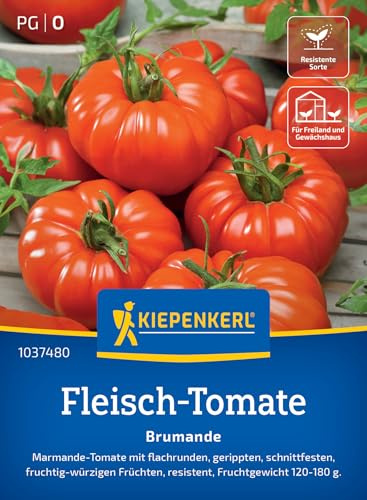 Kiepenkerl Fleisch-Tomatensamen Brumande 1037480, Gemüsesaat | Gemüsesamen für eine resistente Tomate, Fruchtgewicht von 120-180 g