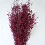 Tanant Trockenstrauß Liebhaber Gras Blumenarrangement Kunst Handgemachte Pflanzen Trockenblumen Vergissmeinnicht DIY Handgemachte Blumenarrangement Dekor für Home Store Geschenke