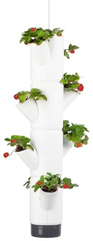 GUSTA GARDEN Sissi Strawberry Erdbeerbaum Hanging Weiß - Hängeampel System für Erdbeeren - für Garten & Balkon - 77 cm Höhe - 10L Erdvolumen