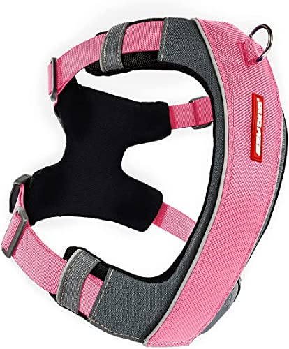 EzyDog No-Pull Hundegeschirr für Kleine Hunde, X-Link Anti Zug Geschirr Hund Verstellbar, Welpengeschirr Einstellbar, Reflektierendes, Größenverstellbar, Brustgeschirr Gepolstert (S, Rosa)
