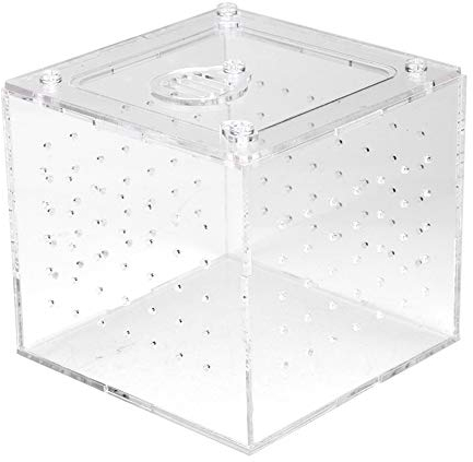 Reptilien-Zuchtbox, Reptilien-Terrarium-Futterstation, Spinnen-Eidechsen-Zucht-Acryl-Box, Insektenhaus, Reptilien-Zuchtwerkzeuge für Mini-Haustier, Schildkröte, Vogelspinne, Skorpion, Eidechse, Spinne
