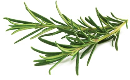 Click and Grow Smart Garden Rosemary Plant Pods, 9-pack