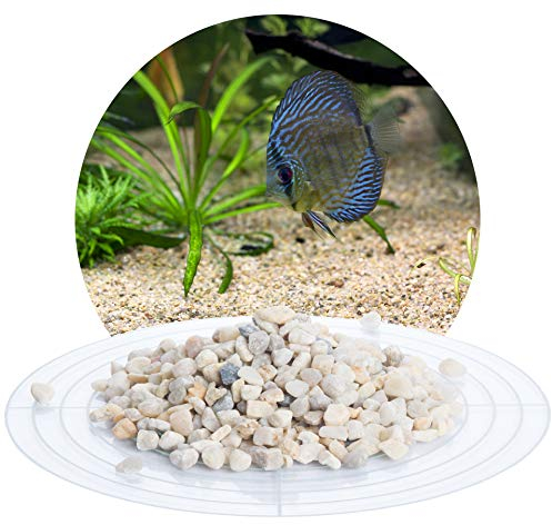 Schicker Mineral Aquariumkies beige 25 kg, grober Aquariumsand gewaschen, ungefärbt, kantengerundeter Bodengrund, Kies für Süßwasseraquarien, Meerwasseraquarien, Aquascaping (Ø Körnung: 5,6-8,0 mm)
