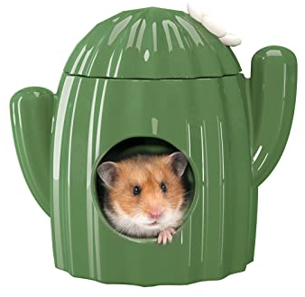 BUCATSTATE Keramikhaus für Hamster, Kaubares Versteck Tunnel in Kaktusform Großen Eingängen, Kühles Bett, ideal für den Sommer per Chinchilla, Ratte, Mäuse, Rennmäuse (L)