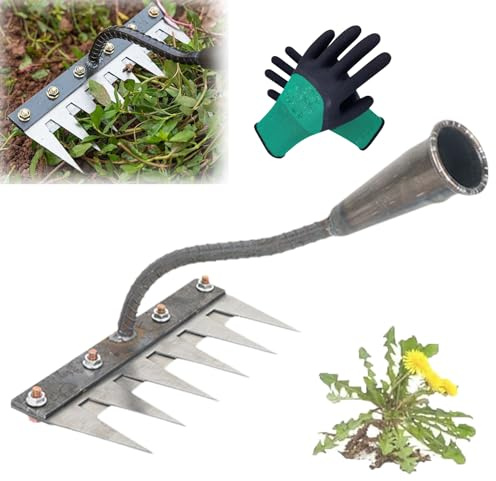 Rateau De Désherbage Berthaus, Outil De Râteau De Désherbage avec Manche, Râteau De Jardin en Métal Très Résistant, Rateau Bertaus pour Désherber/Ameublir/Semence (6 Dents)