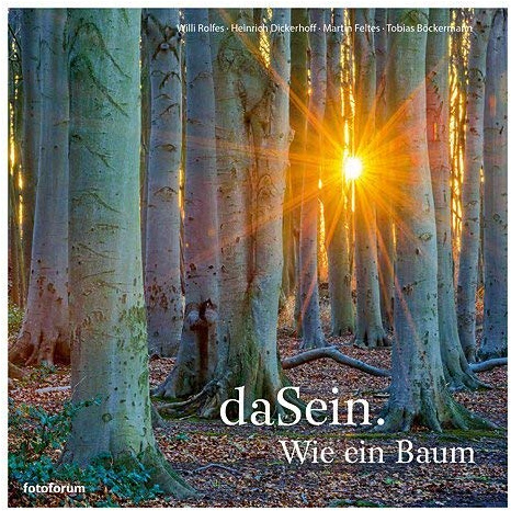 daSein. Wie ein Baum: Der Baum als Sinnbild des Lebens