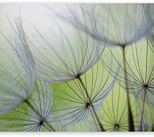 murando - Fototapete Vlies Pusteblume, 350x256 cm, Schlafzimmer, Wohnzimmer | Full HD Druck, 3D-Effekt, lichtbeständige Farben, ideal fürs Wohn- oder Schlafzimmer, schnelle Montage, lichtbeständig, edel