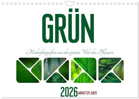 Grün Makrofotografien aus der grünen Welt der Pflanzen als Monatsplaner (Wandkalender 2026 DIN A4 quer), CALVENDO Monatskalender: Die Farbe Gün steht ... Klarheit und Frische. (CALVENDO Natur)