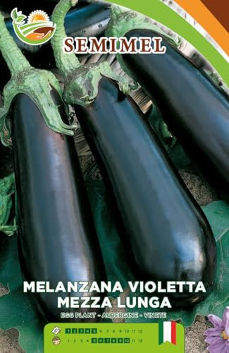 Melanzana Mezza Lunga Violetta - Semi di Melanzana Viola Allungata, Pianta Vigorosa, Frutti Ciclici e Prolungati 2 confezioni