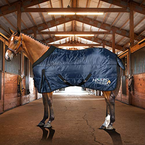 Horses, Coperta per Box Invernale per Cavallo Thermo 350gr, Imbottita, Morbida e Comoda, con Girocollo e Copricoda Anti Affaticamento, Blu 135 cm