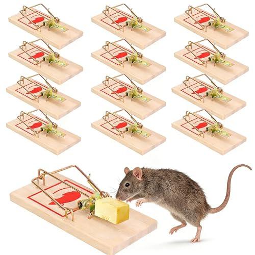 Meetory Mausefallen 12er Set - Wiederverwendbare Schlagfallen aus Holz, Professionelle Rattenfallen für Haus & Garten, Effektive Nagetierfallen