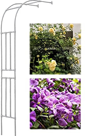 Sweet taize Arco de Rosas de Metal - Ayuda para trepar Resistente a la Intemperie para Jardines, Soporte para Rosas y Plantas trepadoras, Arco Decorativo de Medio Arco para Bodas