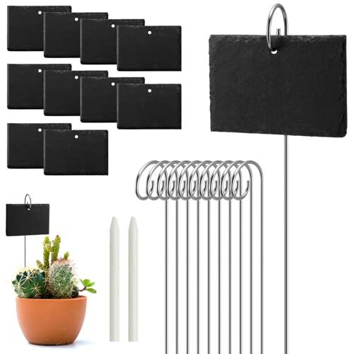 Late Plant Labels (10 Pieces) - Garden Marker Label Signs with Stakes - Markers for Plants, Vegetables, Herb Gardens - with Chalk Pencils - Rectangular (Kind1)
